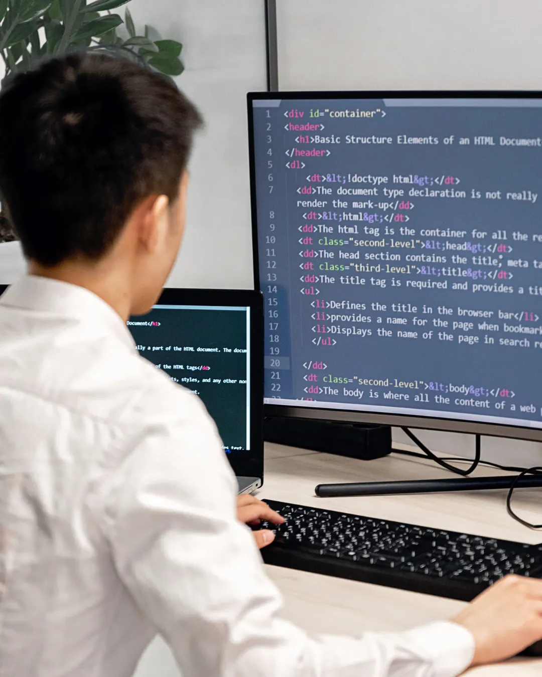 Junior Web Programing